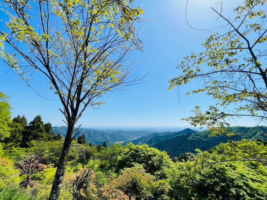 5月24日（水曜日）初心者ですが一緒に京都の低山に登って頂ける方いますか～？
