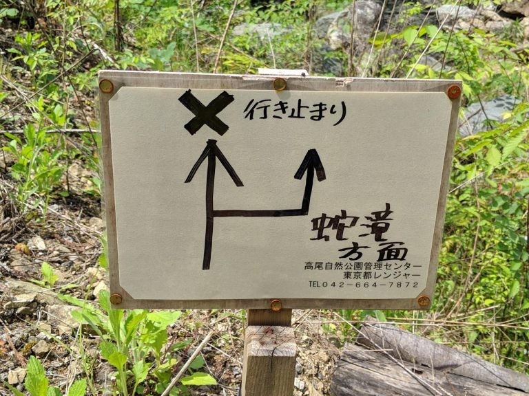 【満員御礼】6/10土 高尾山 蛇滝コース