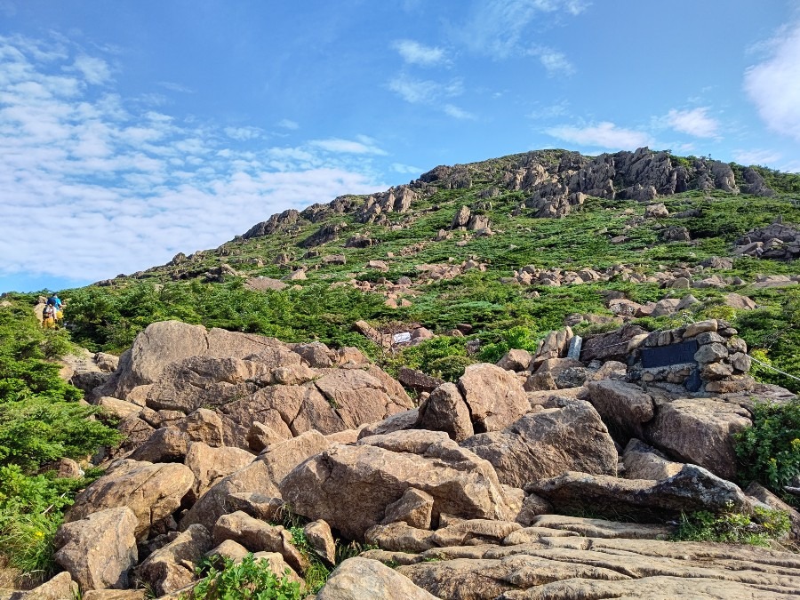 早池峰山森林限界