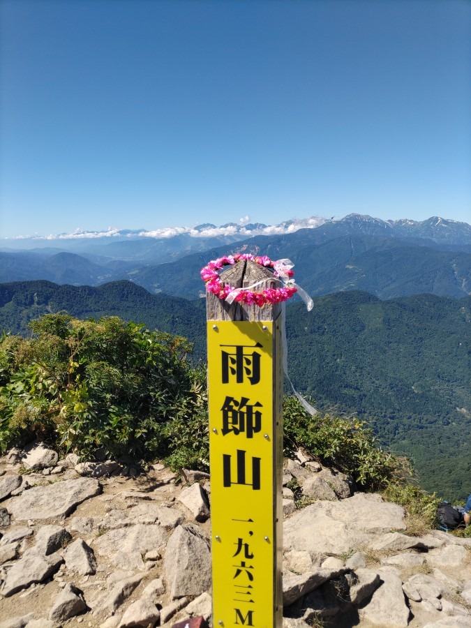 飾りじゃないのよ涙はハッハー（笑）😁