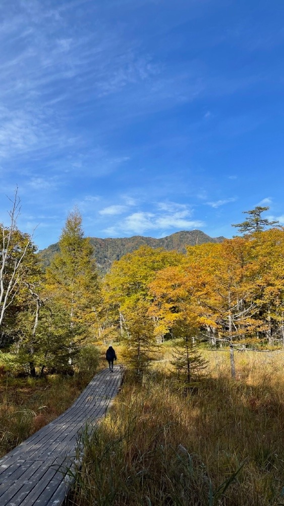 戦場ヶ原の紅葉