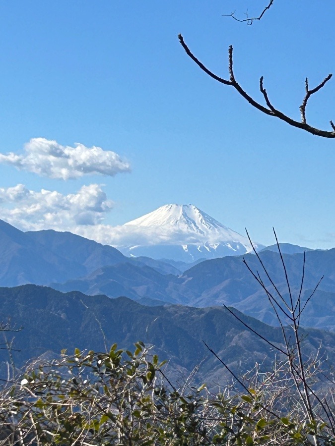 高尾山(1／27)