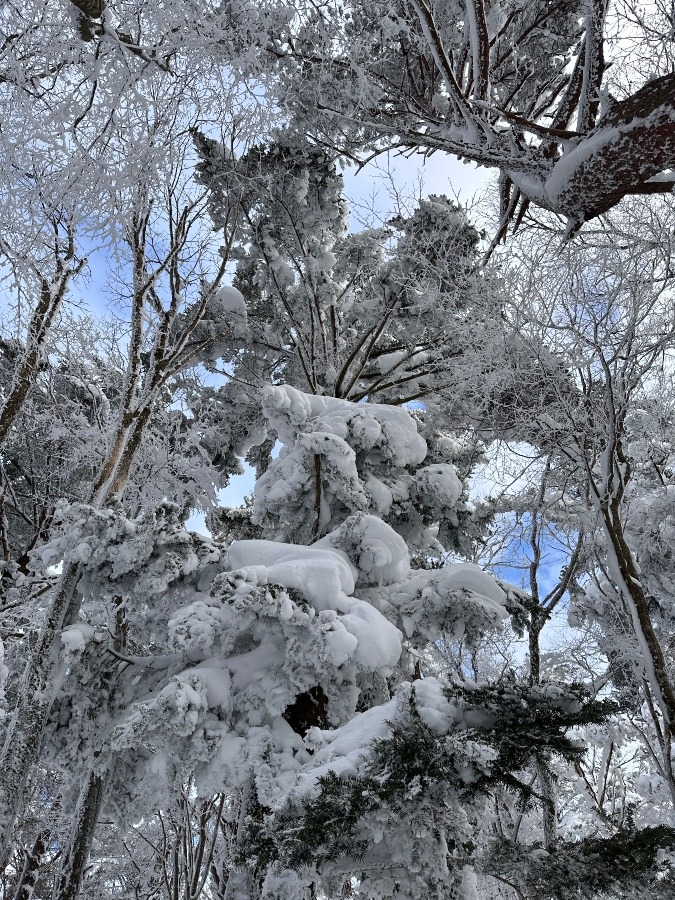 武奈ヶ岳🏔️