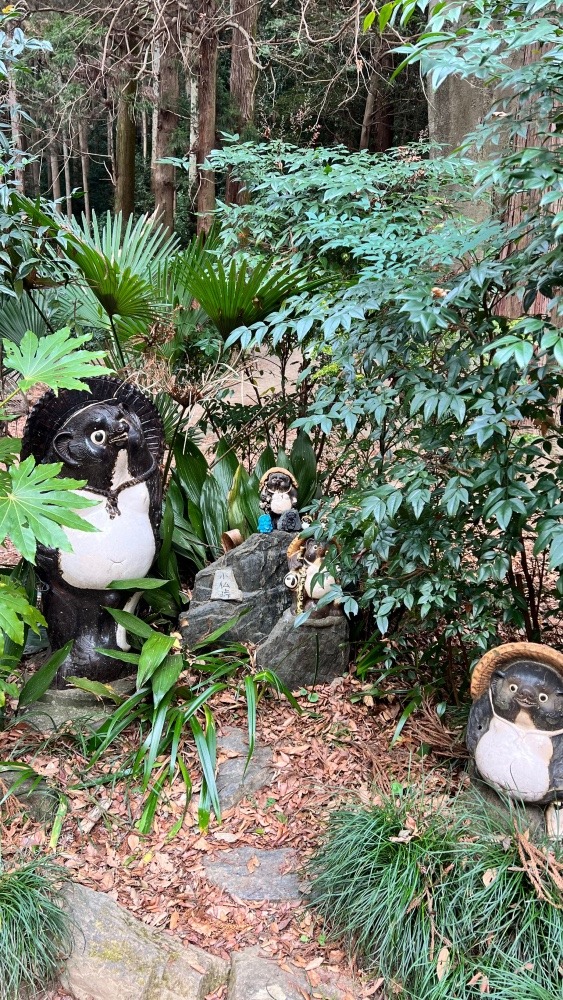 初登山はサクッと⛰️