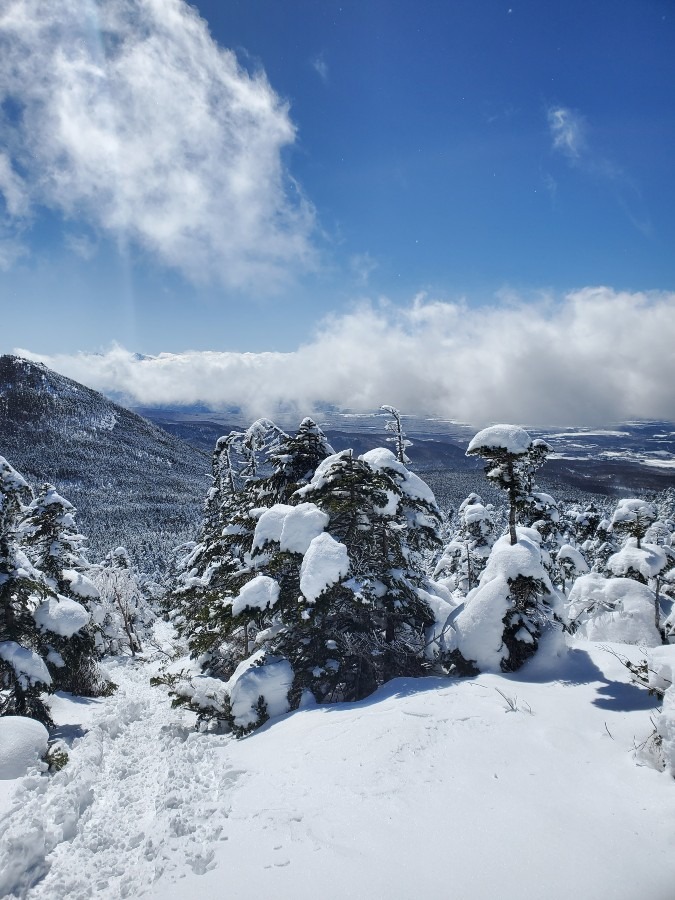 縞枯山