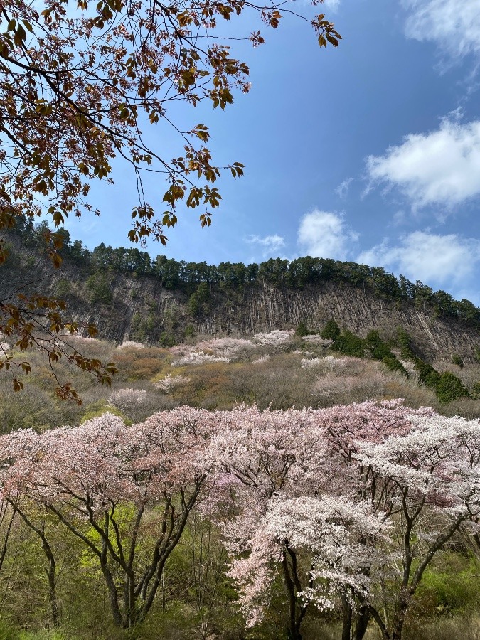 屏風岩公苑