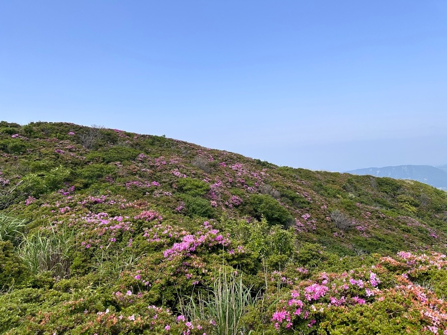 草千里ヶ浜