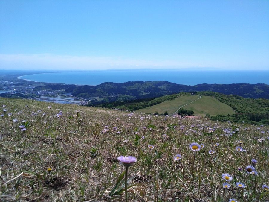 男鹿◢◢寒風山◣◣