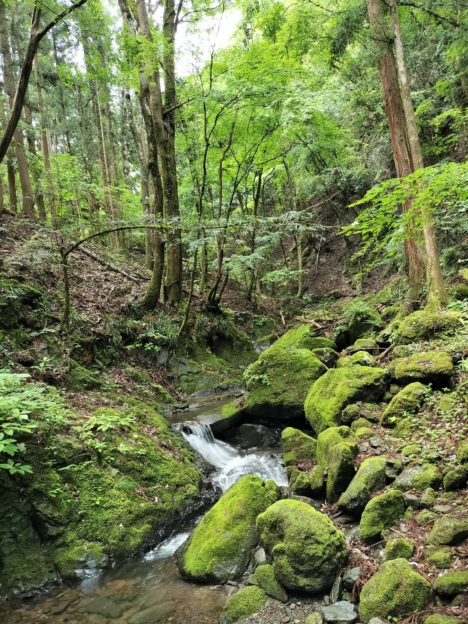 富嶽十二景倉岳山