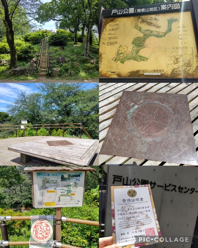 東京山手線内最高峰「箱根山」