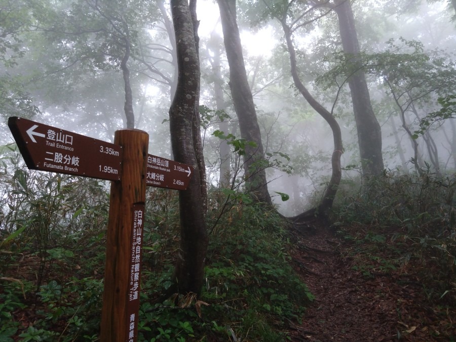 白神山地▲白神岳