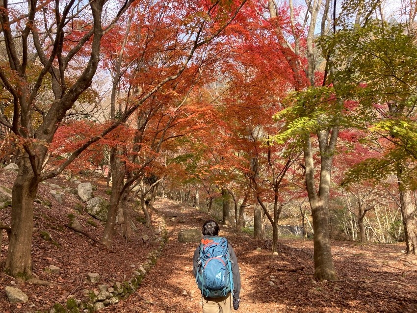 山仲間募集！