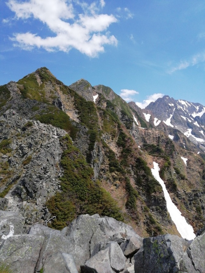 🔰初心者　関西低山メイン　土曜日に一緒に山歩きしていただける方🌺🌺🌺