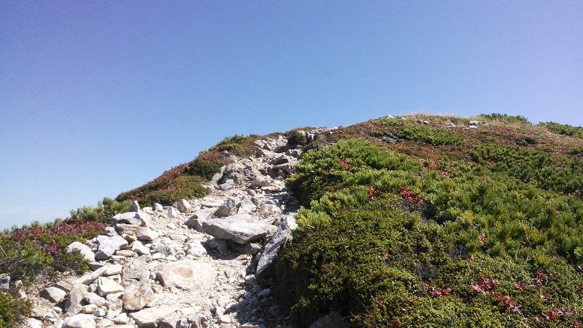 登山仲間募集します