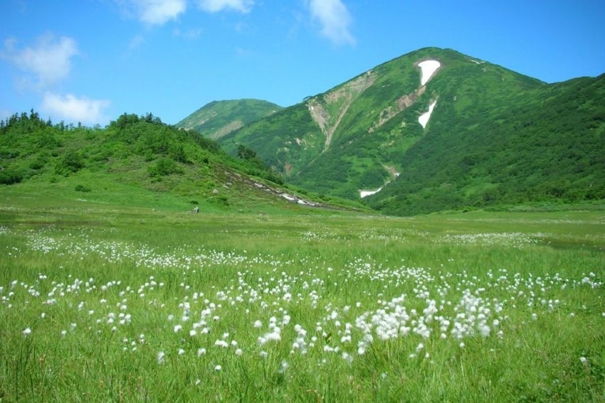 夏の百名山に挑戦しませんか