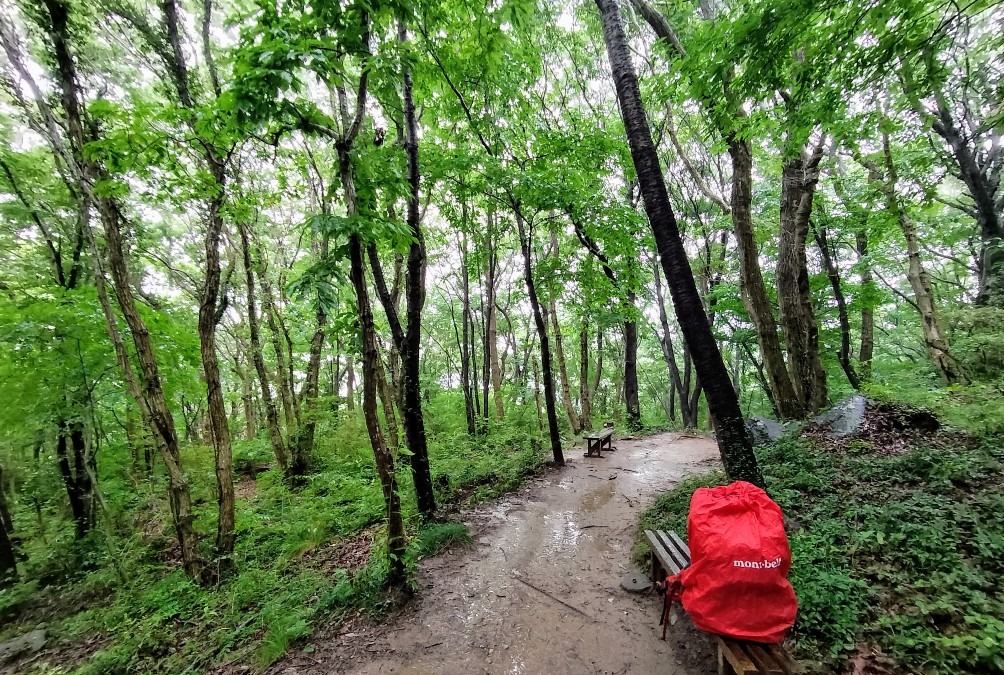 雨の宝篋山