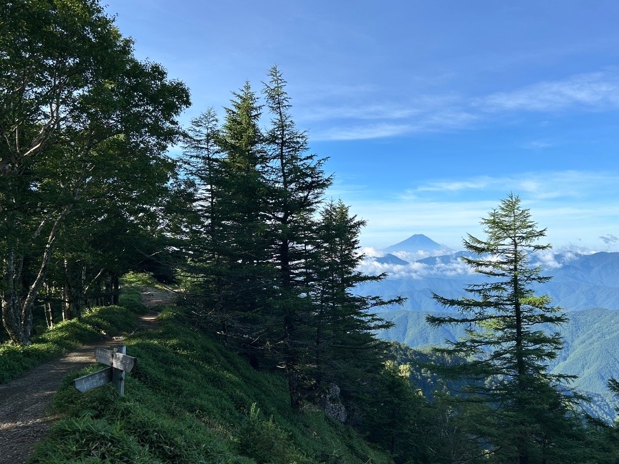 石尾根縦走路から見える富士山