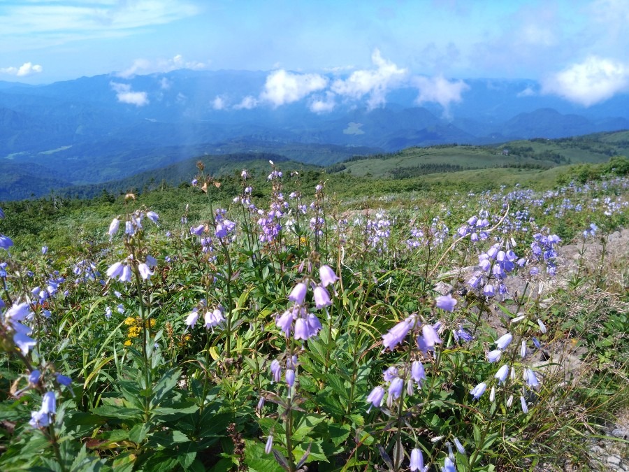 ◢◢◣◣森吉山