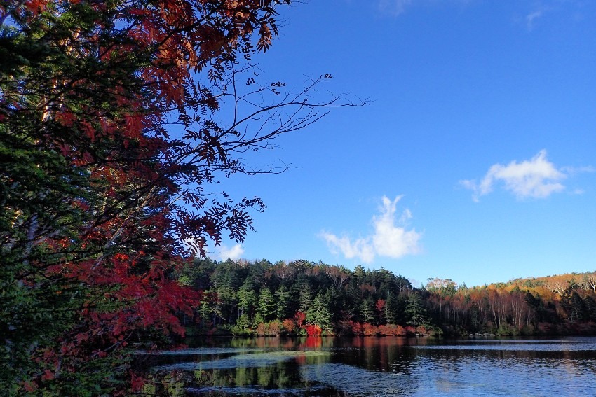 此れから迎える紅葉シーズンに一緒に登山に行ける方(初級者でもOKです)を募集させて戴きます！