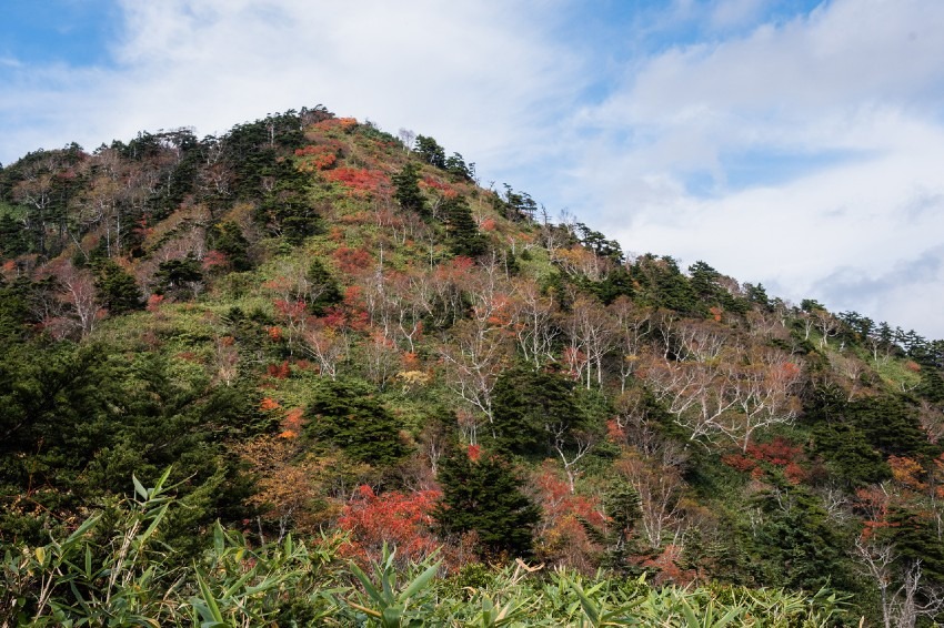 栃木の秀峰・日留賀岳の登山をご一緒できる方を募集します。