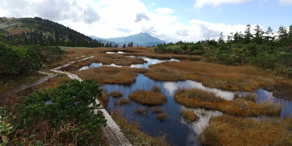 会津駒ケ岳の池塘と燧ケ岳