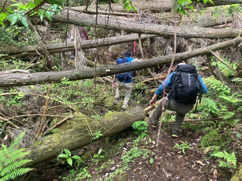 一緒に山に行きませんか？