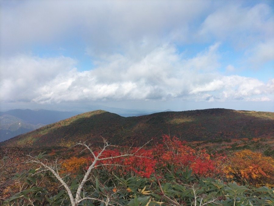 栗駒山〜