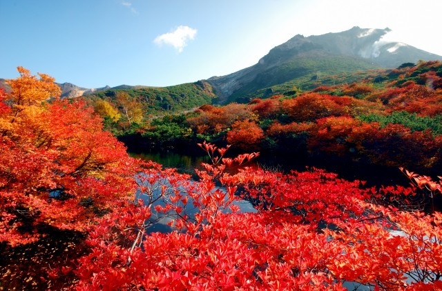 那須岳に日帰りで紅葉を見に　10月17日ころ