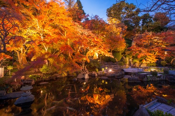 12/8(日) 鎌倉 紅葉お寺温泉 ハイキング (Kamakura hike)