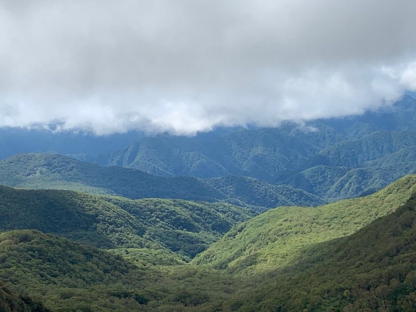 群馬のお山登山ご一緒にいかがですか？50代（女性限定）3人〜4人募集中♪