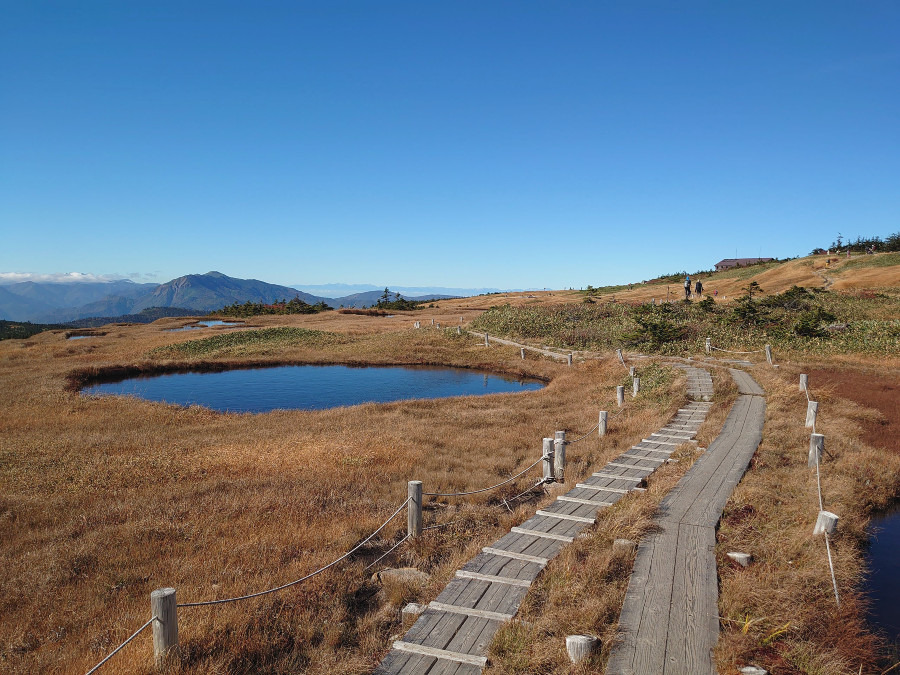 苗場山山頂の広大な高層湿原