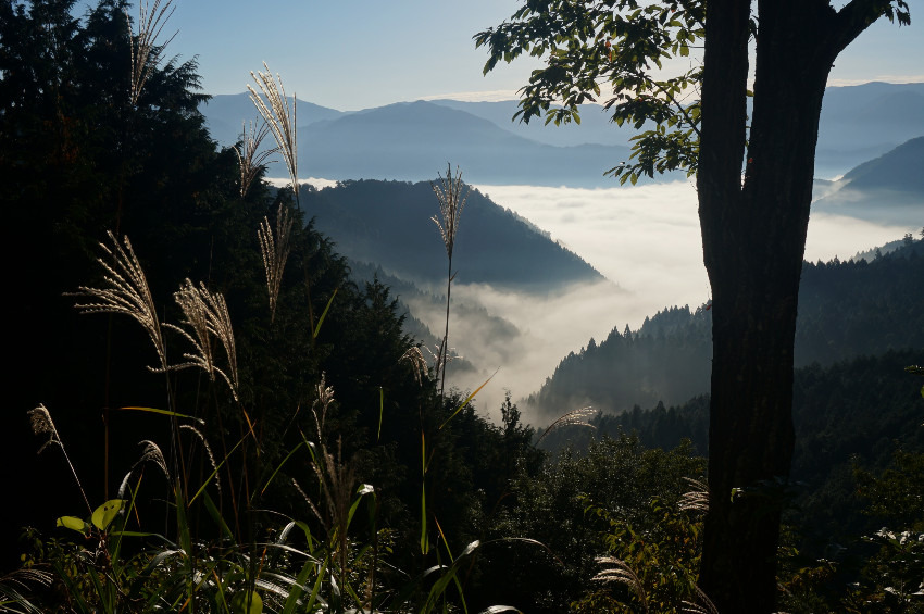 お近くの山歩き仲間募集。