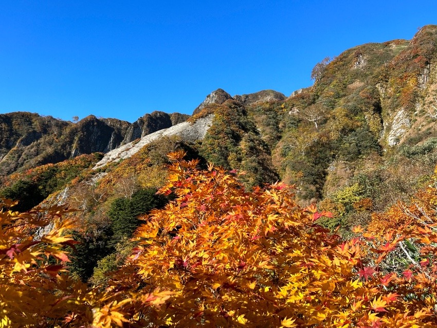 山とも募集