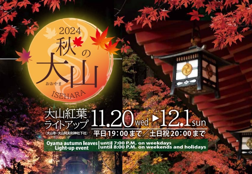 【U50】11/23土 丹沢大山紅葉ライトアップ