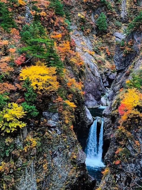 11/9(土) 裏巻機渓谷