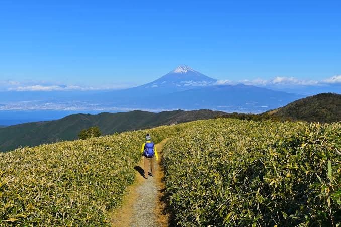 12/22 達磨山 縦走(富士展望を巡る年納め山行ツアー第3弾)