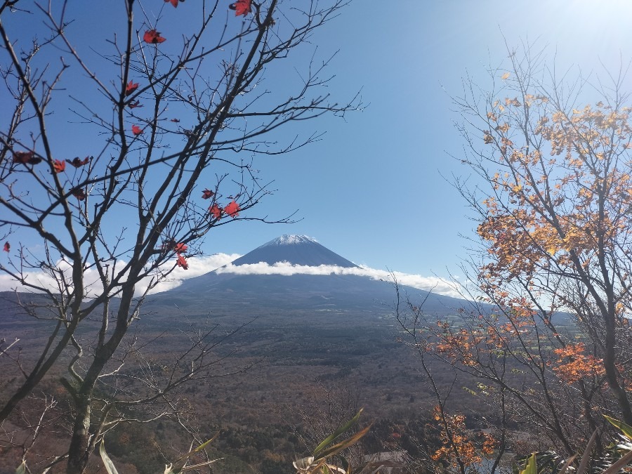 竜ヶ岳からの〜