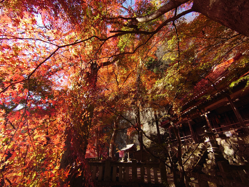 【締切】12月1日(日)スリリングな黒滝山(観音岩)と不動寺の紅葉 同行者募集【所沢・東所沢発】