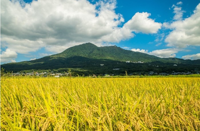 11月30日（土）筑波山登山　募集1名 募集終了　柏駅7時30分ピックアップ　