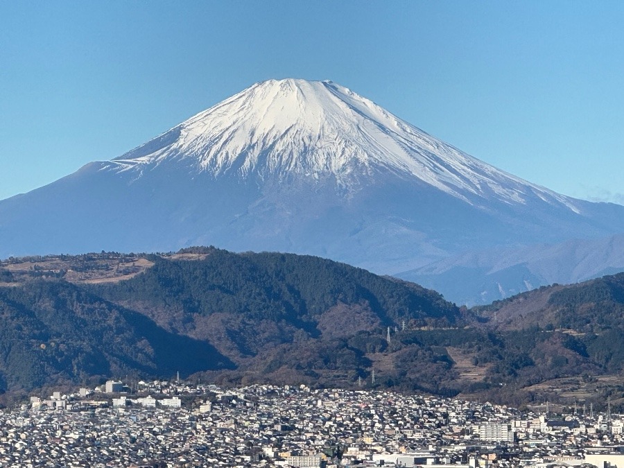 大山からの富士山