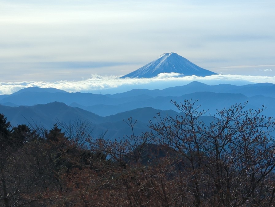 イイ天気