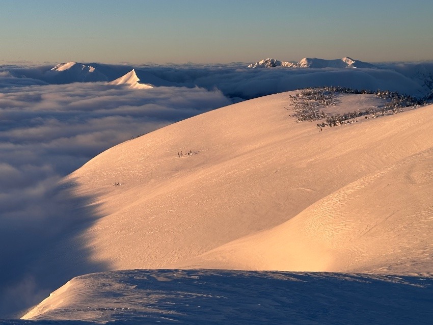 雪山初心者登山＋サークルメンバー募集　