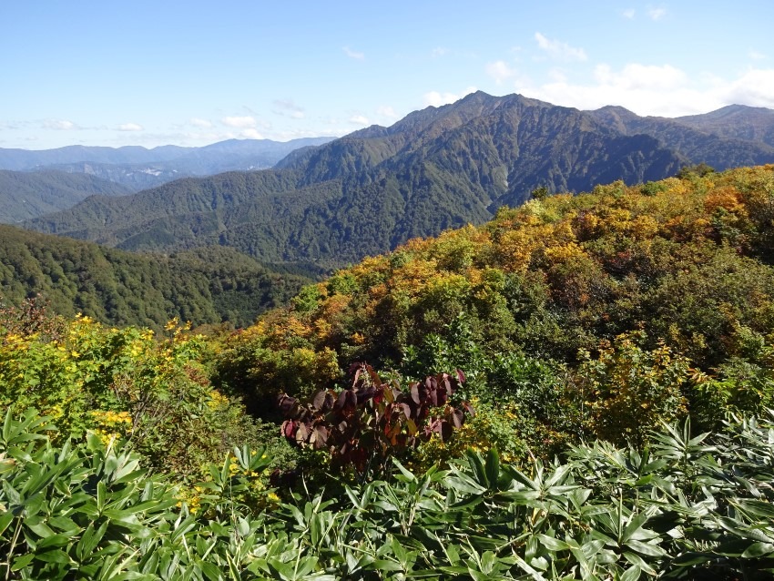 お試し登山参加者募集