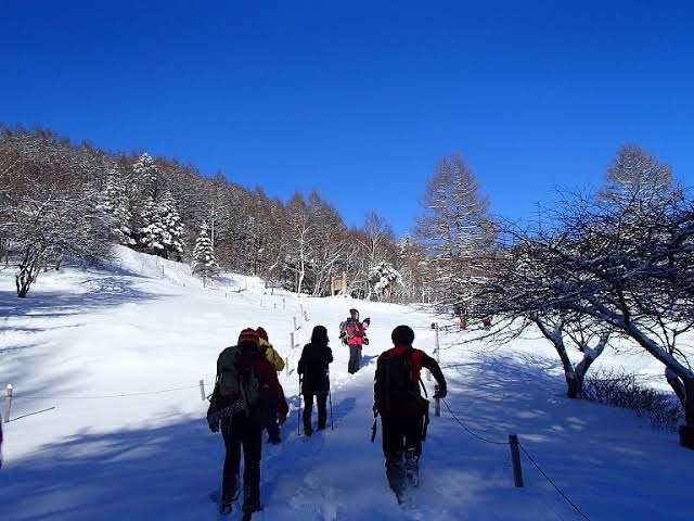 1/3 入笠山 雪山ハイキング ★2名募集