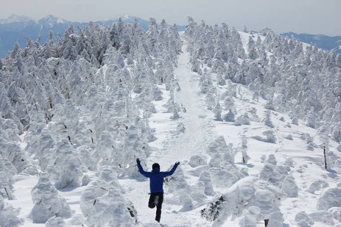 1/11 北横岳 雪山ハイキング