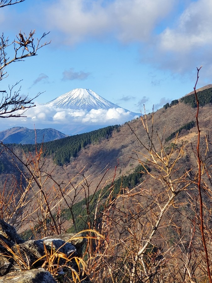 塔ノ岳ヤビツ峠から