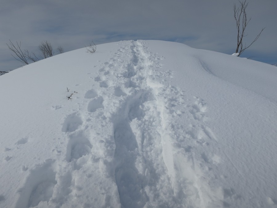 雪山