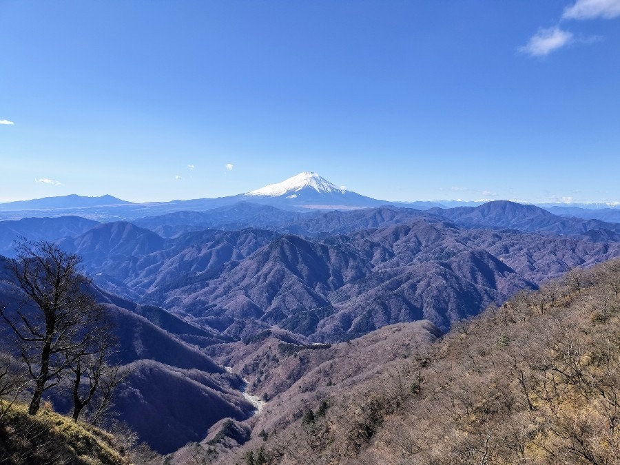 檜洞丸‐犬越路　稜線から延々の富士