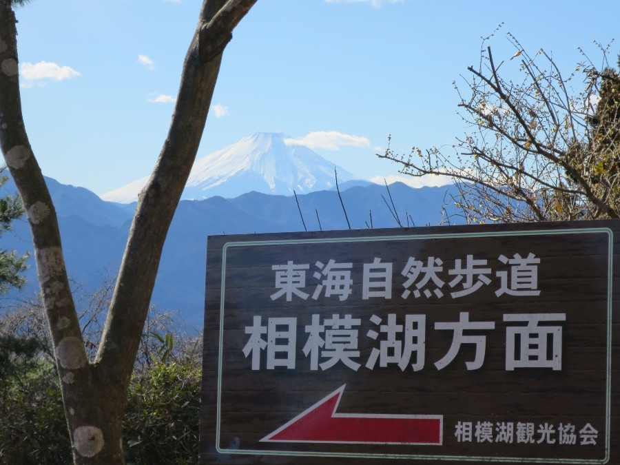 大きな富士山