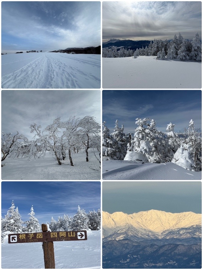 50s 雪山初めは「四阿山(長野/群馬)」